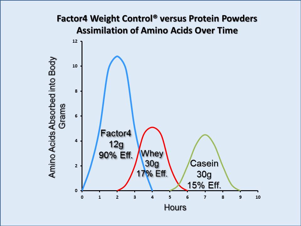 Protein Powder Assimilation Over Time